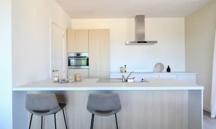 Geel Laar mooi interieur modern cementvloer keuken