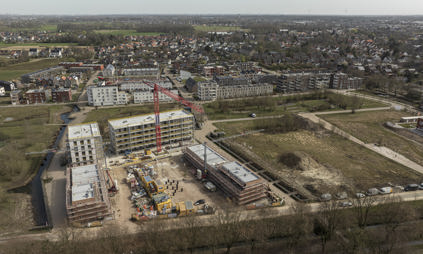 werf meiboom
