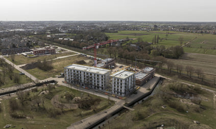 werf meiboom
