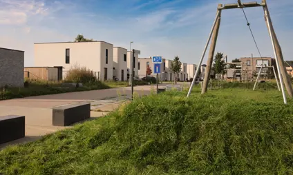 Homes with a green park and playground.