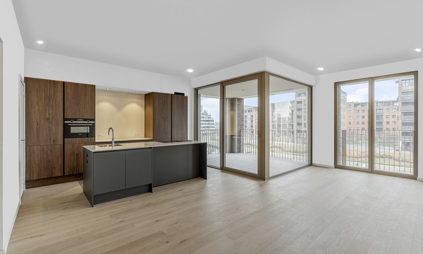 Appartement Quartier Bleu Hasselt, 3 slaapkamers en terras - foto keuken